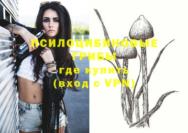 крисы Краснотурьинск