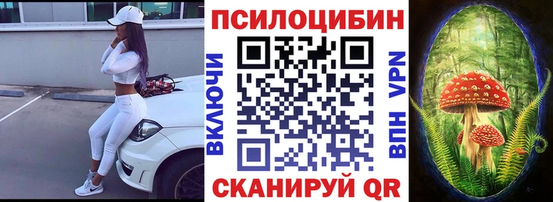Галлюциногенные грибы Psilocybe  hydra онион  Макаров  как найти  